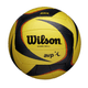 Wilson AVP ARX Game Volleyball.jpg