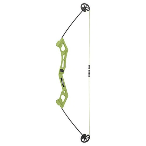 Bear Archery Valiant Bow Set