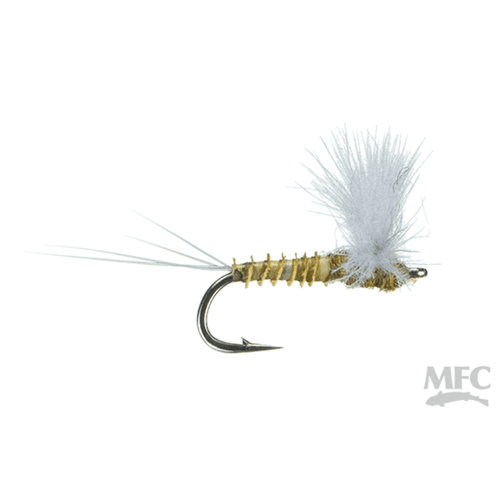 MFC CDC Comparadun Fly (12 Count)