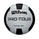 Wilson Pro Tour Indoor Volleyball - Black / White.jpg