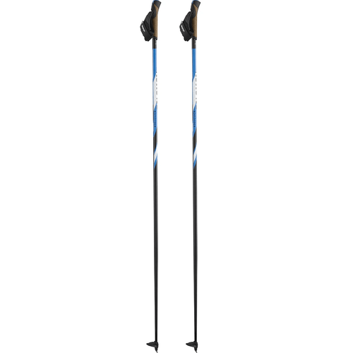 Salomon R 30 Click Classic Nordic Poles