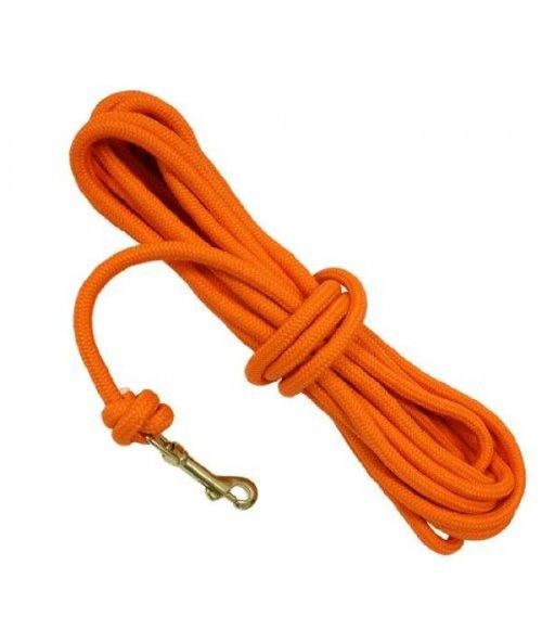 DT Systems Training Check Cord