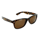 NWEB---ONE-SUNGLASS-CRUZIN--Shiny-Tortoise-/-Brown-Polarized.jpg