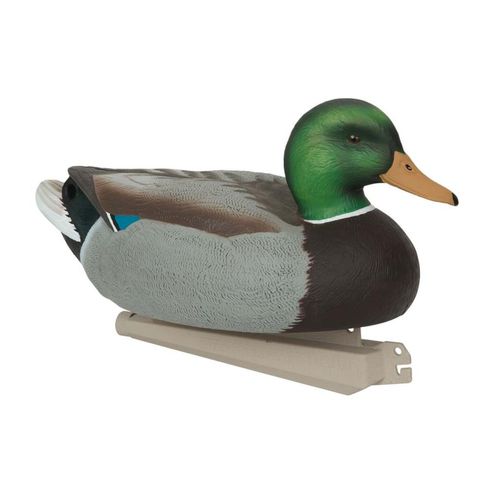 Avery Essentials Series Mallard