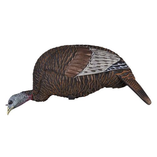 Flextone Thunder Chick Hen Turkey Decoy