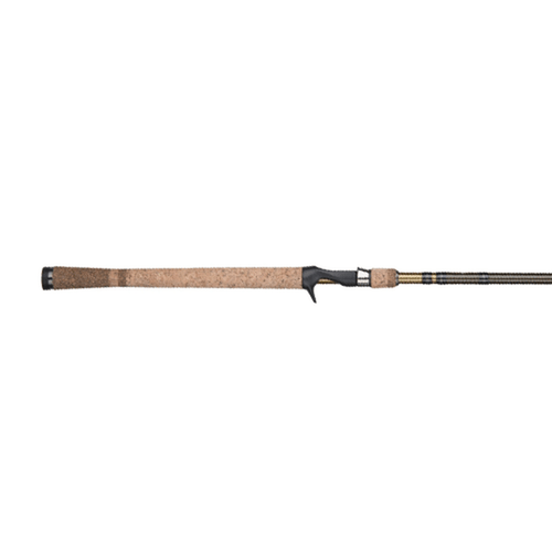 Fenwick Fishing Fenwick Eagle® Casting Rod